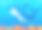 海豚图片下载