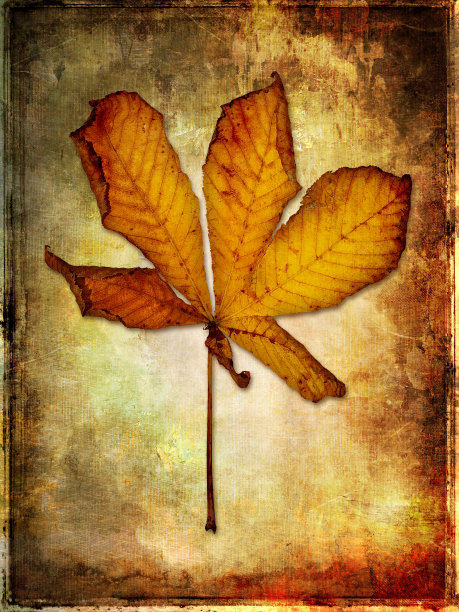 极简主义风格的秋天图片下载