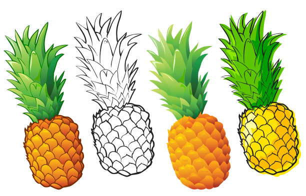 四个菠萝的图形，每一个都有不同的细节图片下载