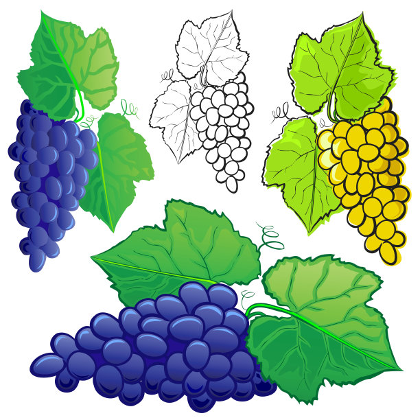 葡萄图片下载