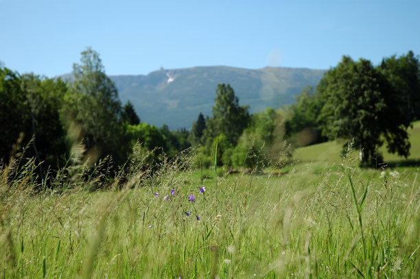草原和山地图片下载
