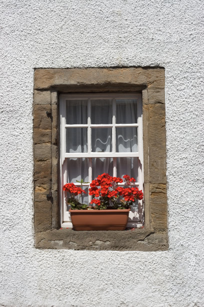 窗台上的花盆箱图片下载