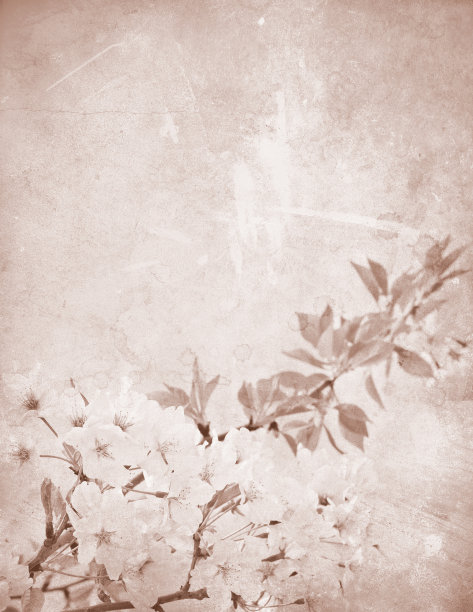 复古樱桃装饰文具图片下载