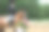 小马和小女孩…图片下载
