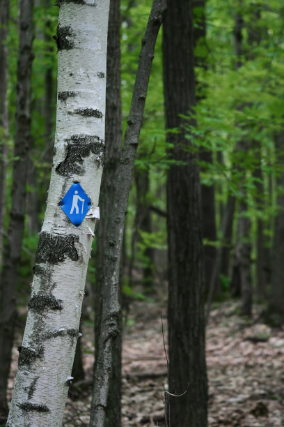 这样走图片下载