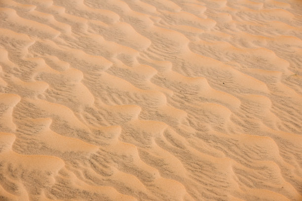 桑迪沙丘图片下载