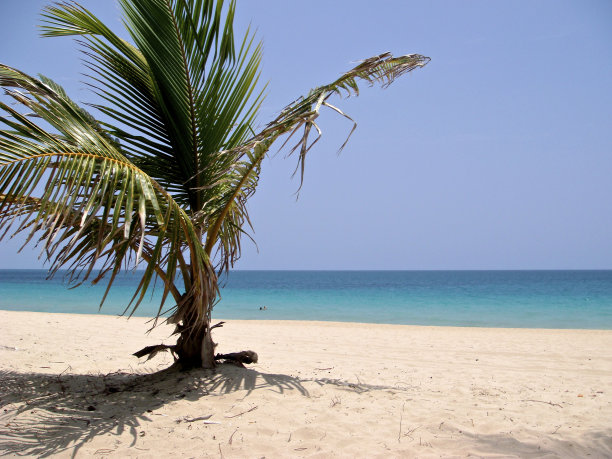 波多黎各海滩图片下载