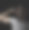 男人在戏剧性的权力姿势图片下载