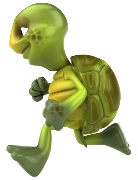 乌龟跑图片下载