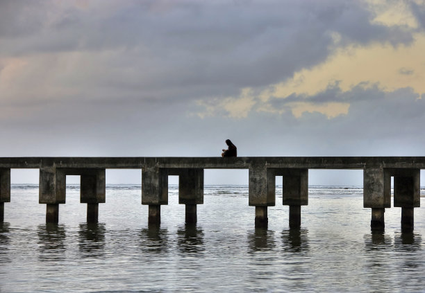 在码头看书。图片下载