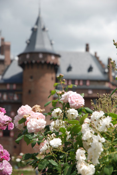 浪漫的玫瑰城堡图片下载