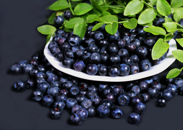 蓝莓图片下载