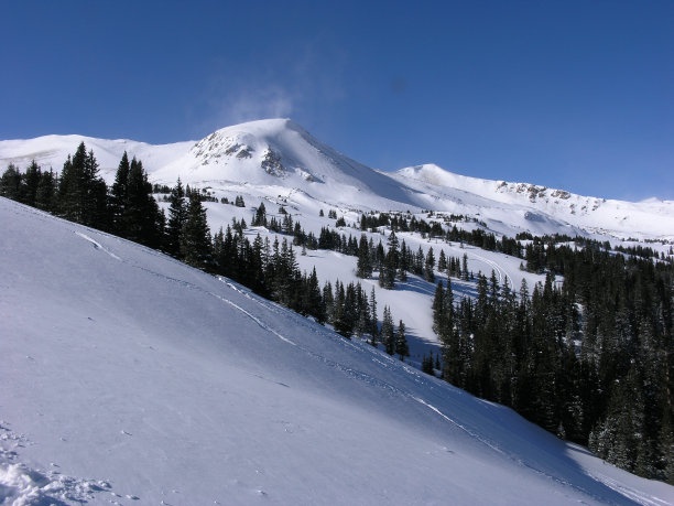 新鲜的痕迹图片下载