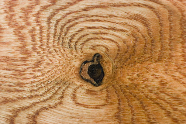 硬木地板03图片下载