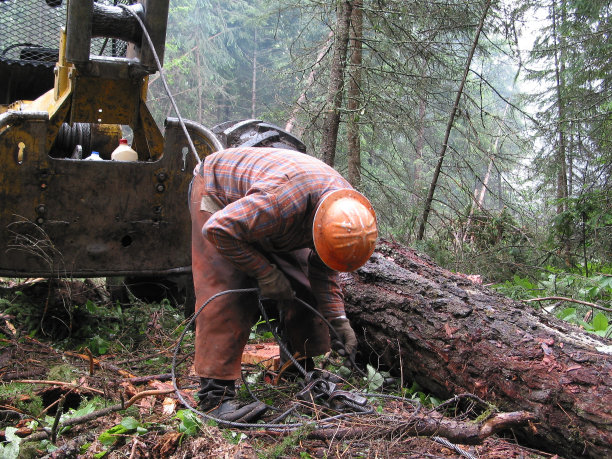 记录器设置颈圈#2图片下载