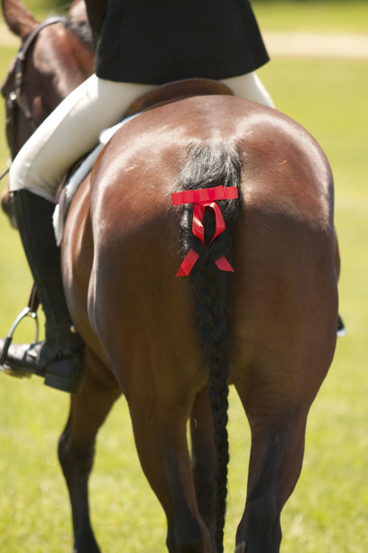 带红丝带的马尾图片下载