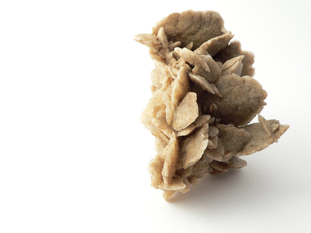 砂岩的花图片下载