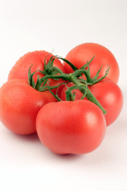 葡萄番茄的图片下载