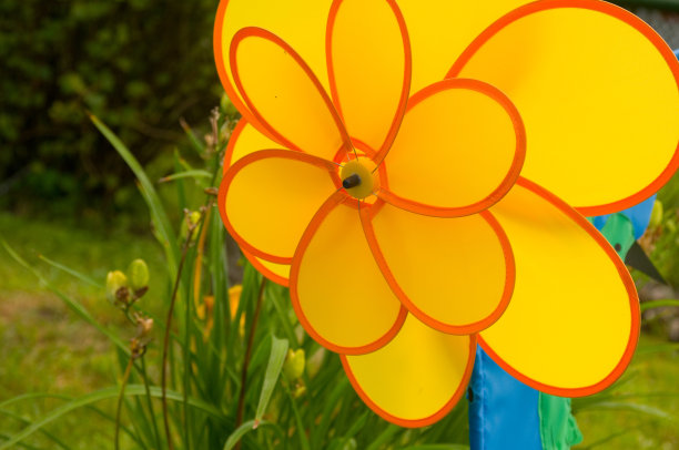 风向标在花园图片下载