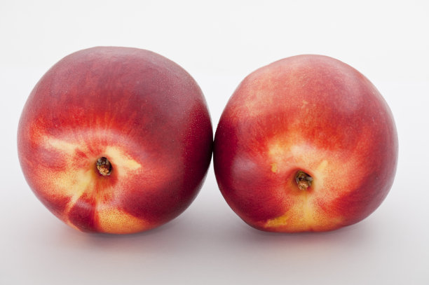 两个油桃图片下载