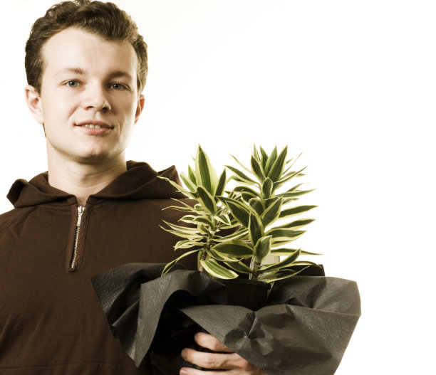 一个男人拿着一盆植物图片下载