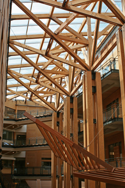 心房木图片下载