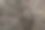 蜘蛛网图片下载