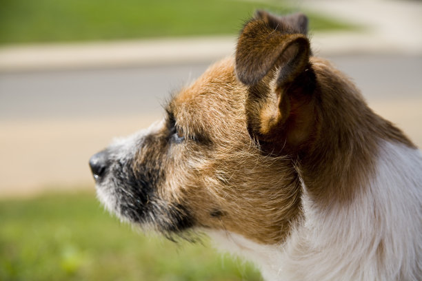 集中注意力图片下载