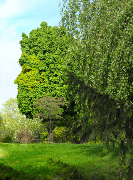 草药国王或神的修剪图片下载