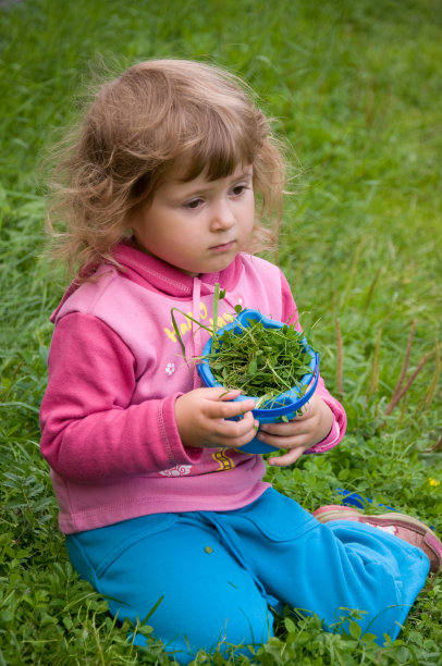 小女孩在采草图片下载