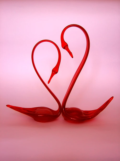 红色天鹅图片下载