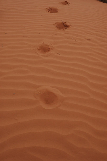 脚步声在沙滩上图片下载