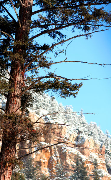 山上的积雪图片下载