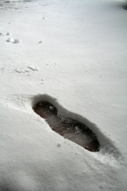 冬天的足迹图片下载