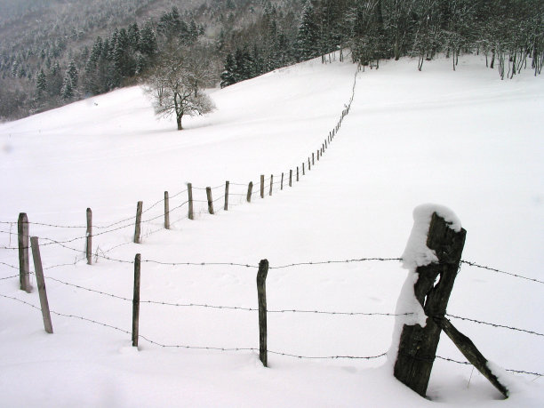 法国阿尔卑斯山的雪图片下载