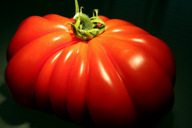 番茄也图片下载