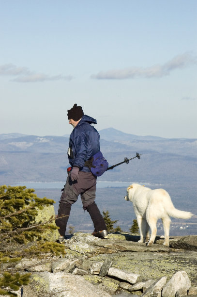 人类和他最好的朋友图片下载