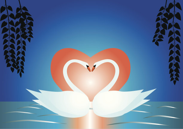 湖上的天鹅素材图片