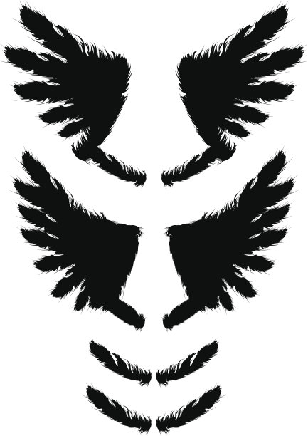 矢量翼和羽毛素材图片