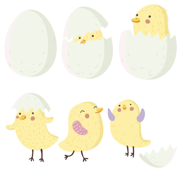 刚出生的小鸡图片下载