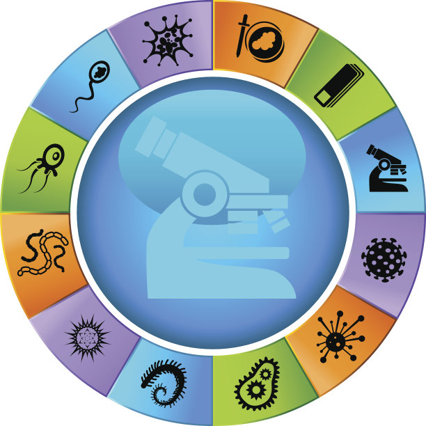 微观轮图片下载