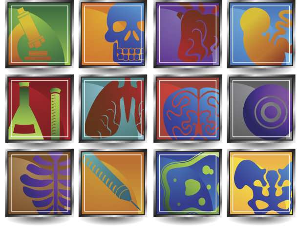 生物放大图标图片下载