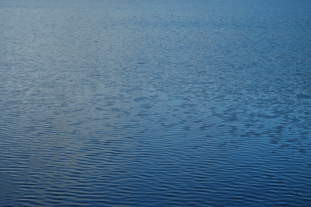 无论Tranqil图片下载