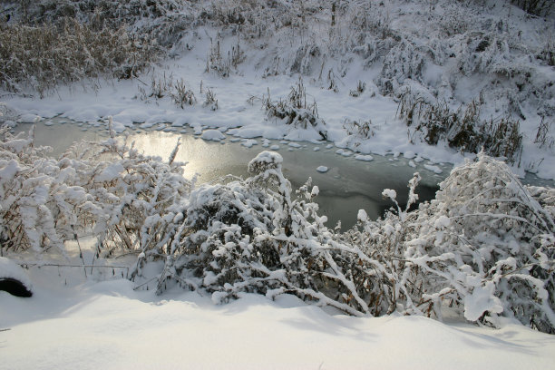 雪的冬天图片下载