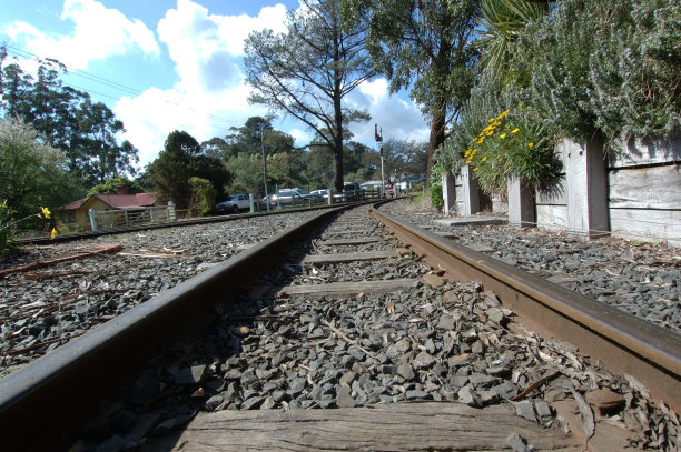 蓬勃发展,图片下载