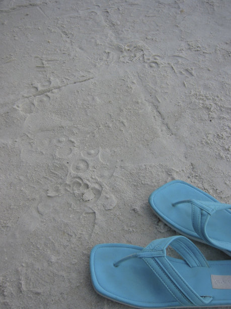 带音轨的人字拖图片下载