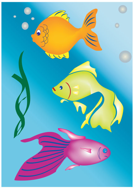 鱼图片下载