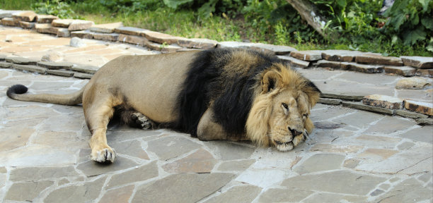 动物园图片下载