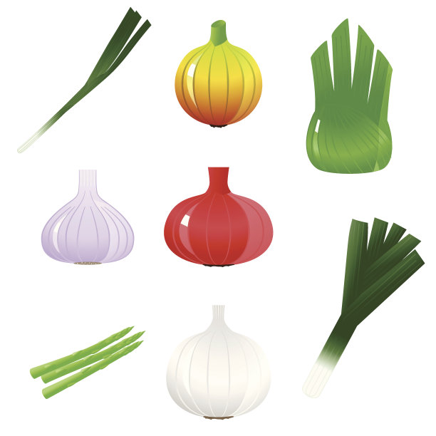 蔬菜图标设置图片下载