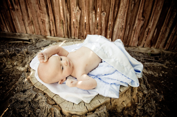 树桩上的孩子图片下载